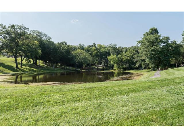 63 Muir St, Eureka, MO 63025 photo 35