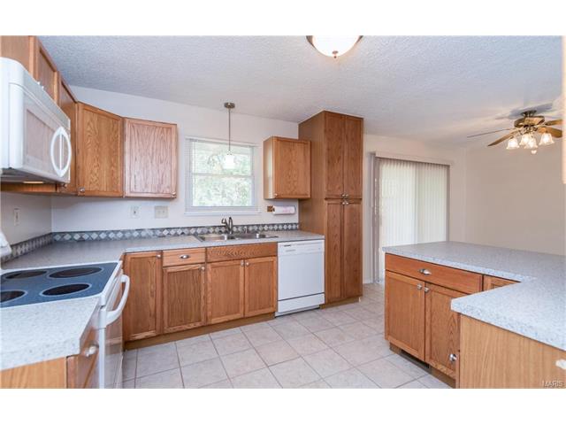 63 Muir St, Eureka, MO 63025 photo 13
