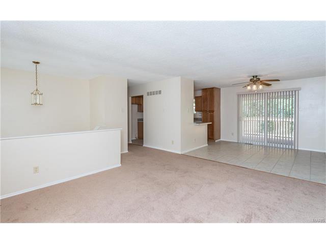 63 Muir St, Eureka, MO 63025 photo 7