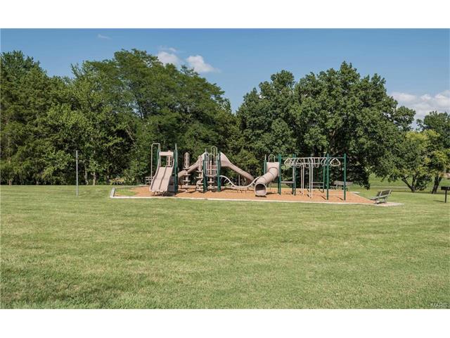 63 Muir St, Eureka, MO 63025 photo 28
