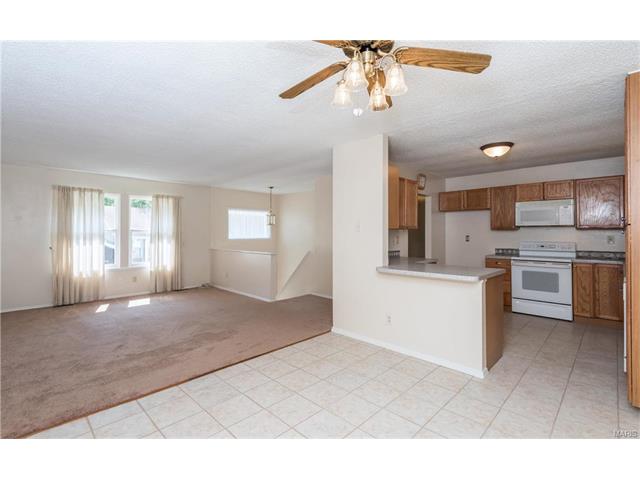 63 Muir St, Eureka, MO 63025 photo 8