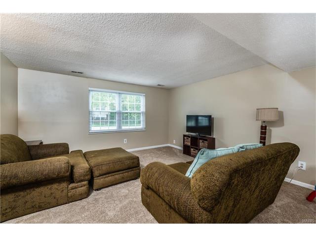 3 Sean Ct, O'fallon, MO 63366 photo 14