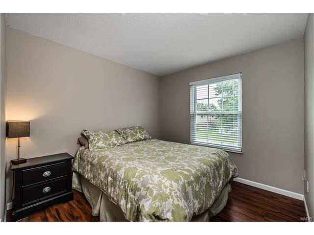 3 Sean Ct, O'fallon, MO 63366 photo 10