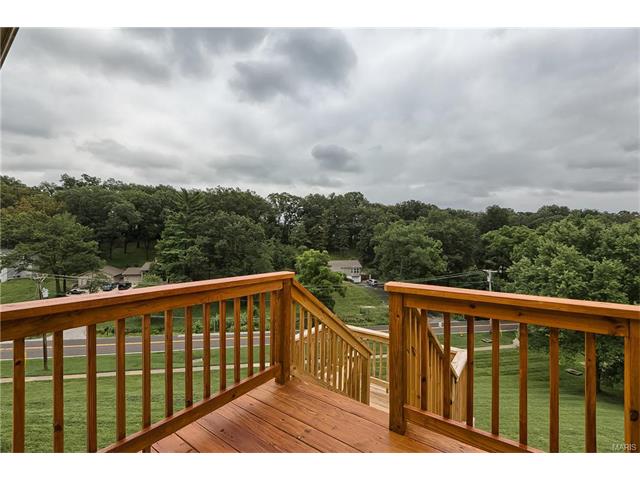 1456 Whispering Creek Dr, Ballwin, MO 63021 photo 23