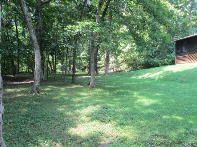 17427 Thunder Valley Dr, Eureka, MO 63025 photo 23