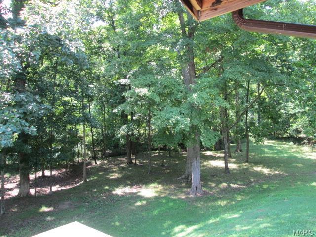 17427 Thunder Valley Dr, Eureka, MO 63025 photo 24