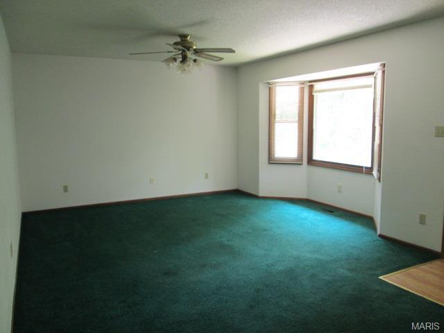 17427 Thunder Valley Dr, Eureka, MO 63025 photo 5
