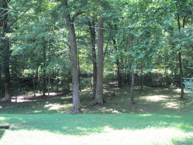17427 Thunder Valley Dr, Eureka, MO 63025 photo 22