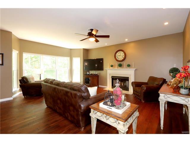 848 Castle Pines Dr, Ballwin, MO 63021 photo 6
