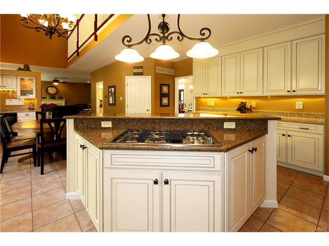 848 Castle Pines Dr, Ballwin, MO 63021 photo 15