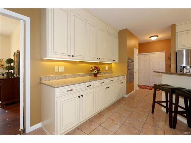 848 Castle Pines Dr, Ballwin, MO 63021 photo 16