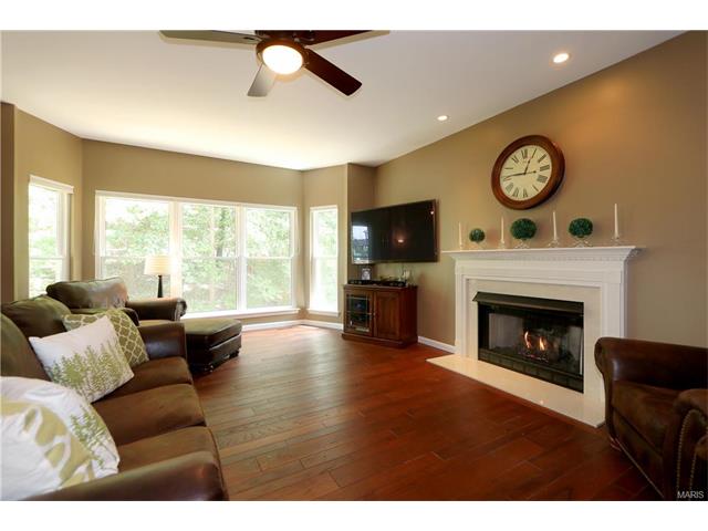 848 Castle Pines Dr, Ballwin, MO 63021 photo 7