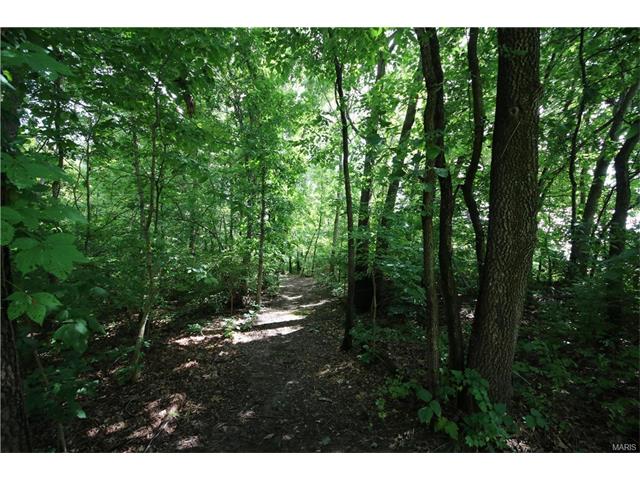 580 Broeker Ln, O'fallon, MO 63366 photo 33