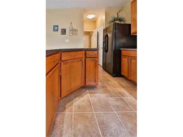 246 Spring Borough Dr, O'fallon, MO 63368 photo 10