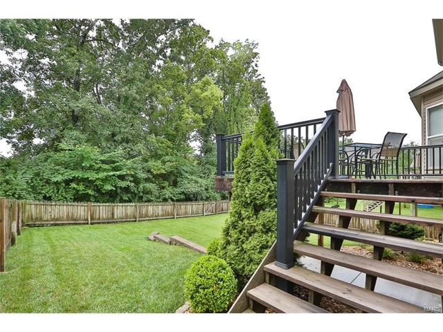 246 Spring Borough Dr, O'fallon, MO 63368 photo 31