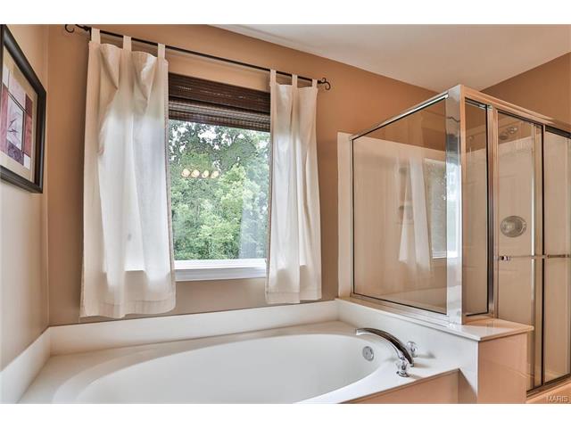 246 Spring Borough Dr, O'fallon, MO 63368 photo 21