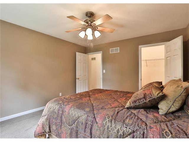 246 Spring Borough Dr, O'fallon, MO 63368 photo 26