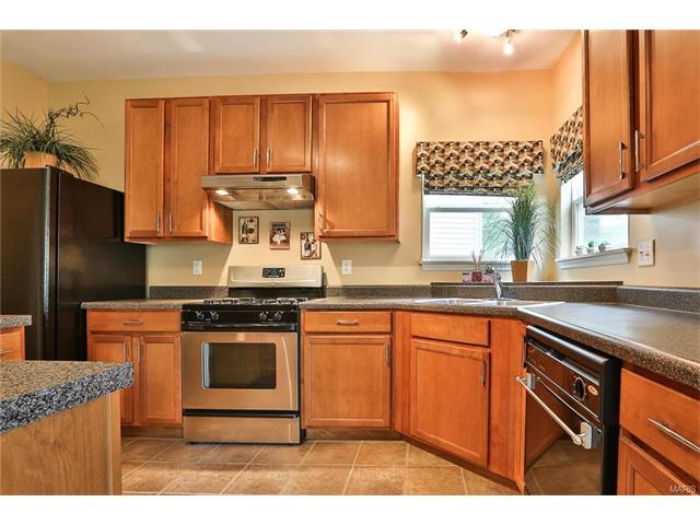 246 Spring Borough Dr, O'fallon, MO 63368 photo 9