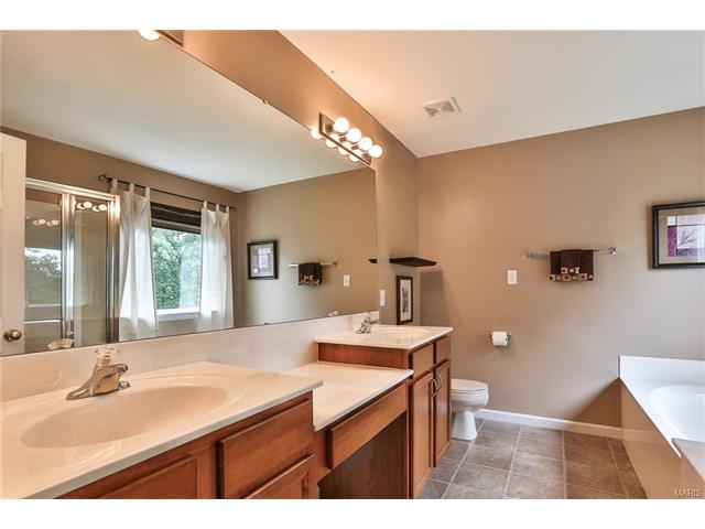 246 Spring Borough Dr, O'fallon, MO 63368 photo 20