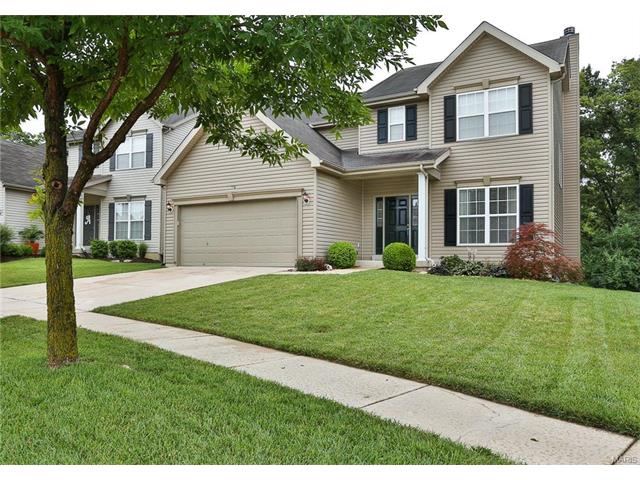 246 Spring Borough Dr, O'fallon, MO 63368 photo 29
