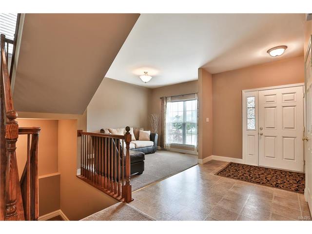 246 Spring Borough Dr, O'fallon, MO 63368 photo 15