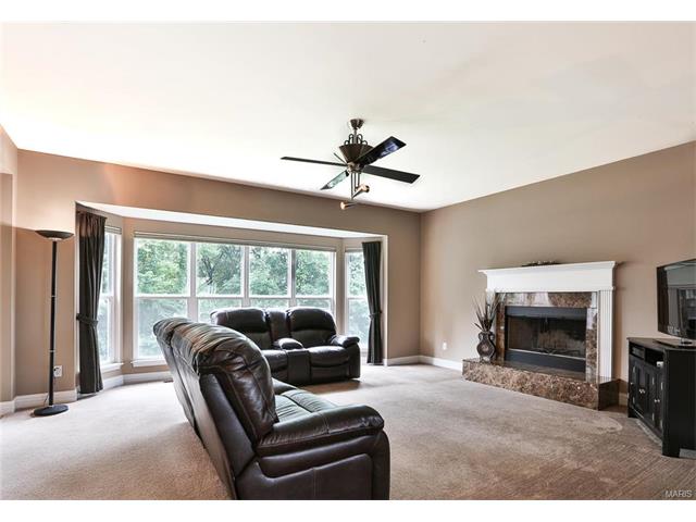 246 Spring Borough Dr, O'fallon, MO 63368 photo 6