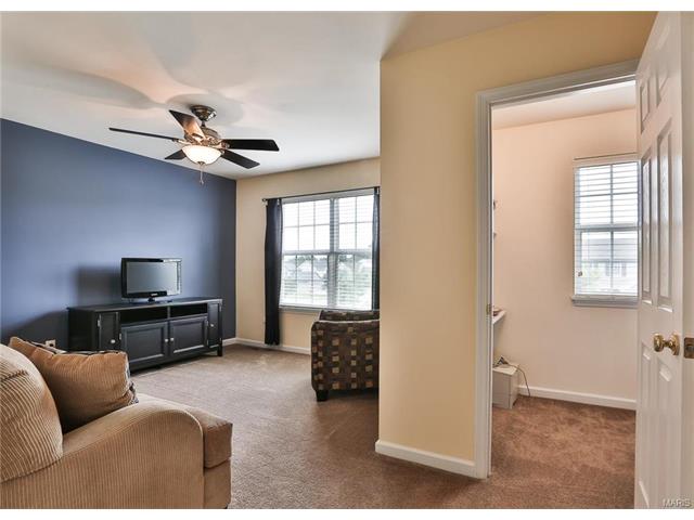 246 Spring Borough Dr, O'fallon, MO 63368 photo 22