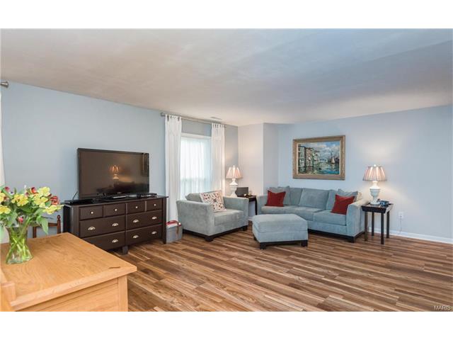 308 Carmel Woods Dr, Ellisville, MO 63021 photo 16