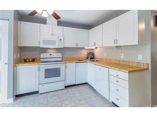 308 Carmel Woods Dr, Ellisville, MO 63021 photo 24