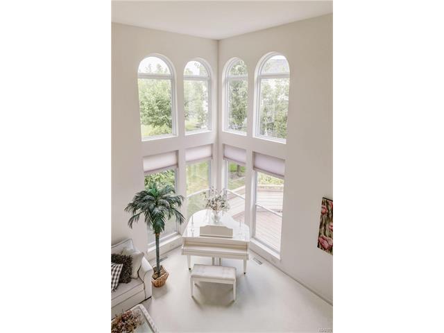 641 Hawk Run Dr, O'fallon, MO 63368 photo 12