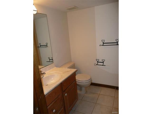 426 Thunderhead Canyon Dr, Ballwin, MO 63011 photo 40