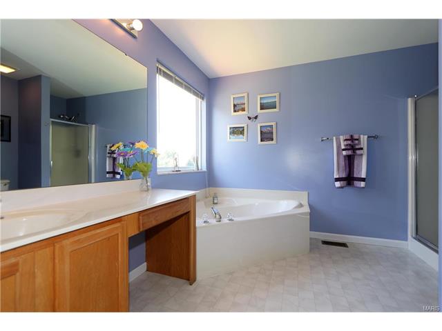 3 Black Cherry Ct, O'fallon, MO 63368 photo 7