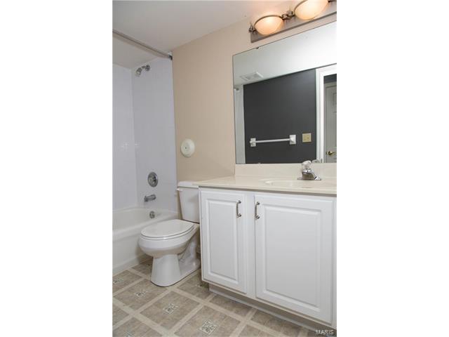608 Hawk Run Dr, O'fallon, MO 63368 photo 33