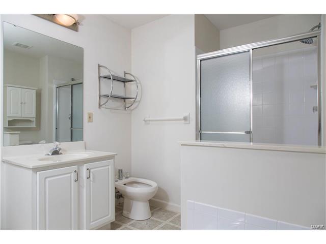 608 Hawk Run Dr, O'fallon, MO 63368 photo 27