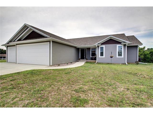 1009 Marion St, Canton, MO 63435 photo 1