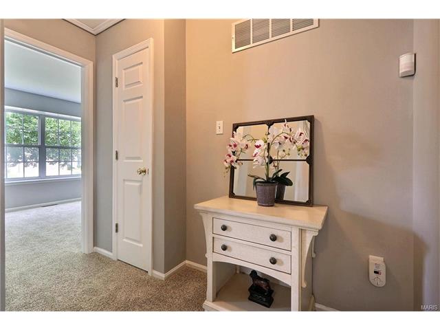 16946 Hickory Forest Ln, Wildwood, MO 63011 photo 17