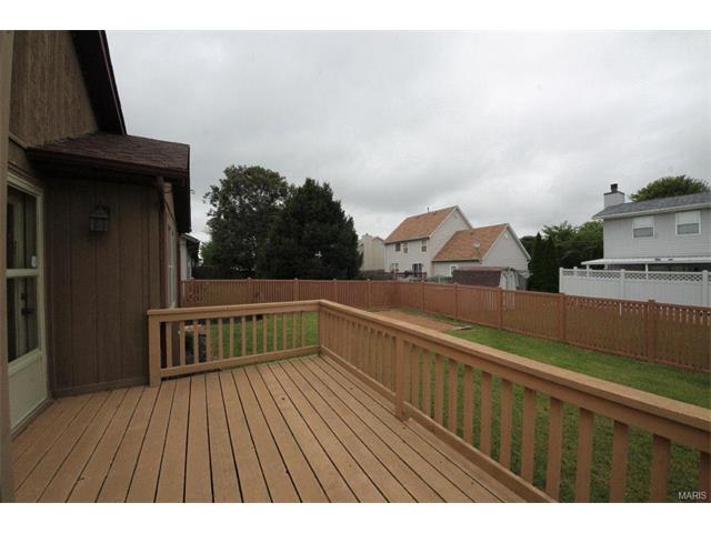 1542 Thunderbird Ln, Belleville, IL 62221 photo 34