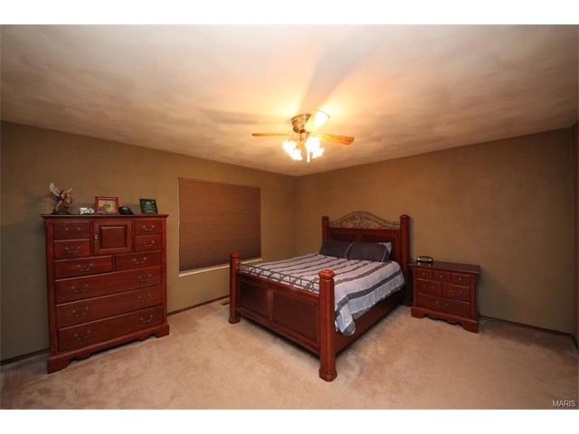 1542 Thunderbird Ln, Belleville, IL 62221 photo 28