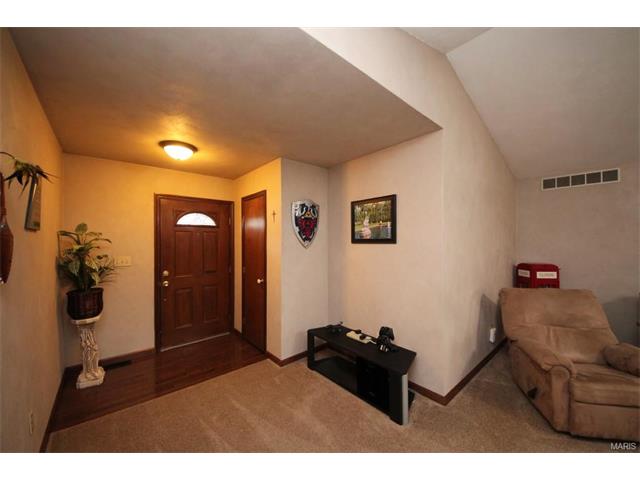 1542 Thunderbird Ln, Belleville, IL 62221 photo 4