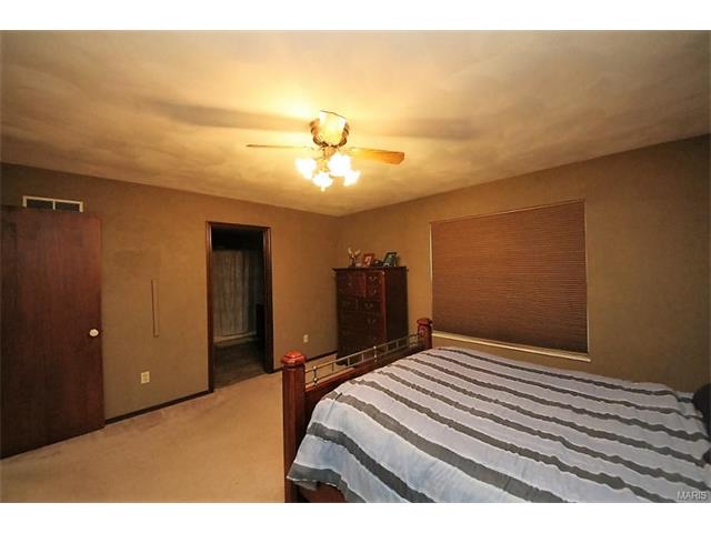 1542 Thunderbird Ln, Belleville, IL 62221 photo 29