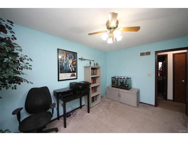1542 Thunderbird Ln, Belleville, IL 62221 photo 22