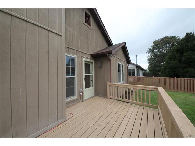 1542 Thunderbird Ln, Belleville, IL 62221 photo 39