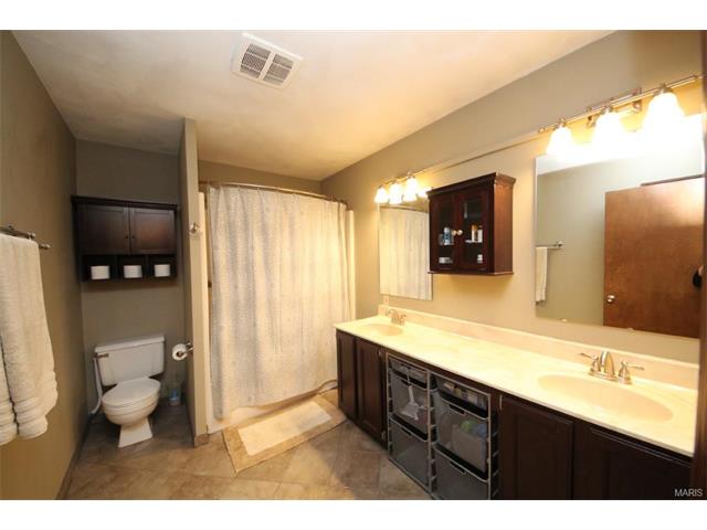 1542 Thunderbird Ln, Belleville, IL 62221 photo 31