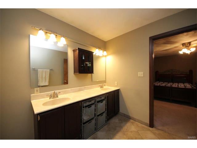 1542 Thunderbird Ln, Belleville, IL 62221 photo 32