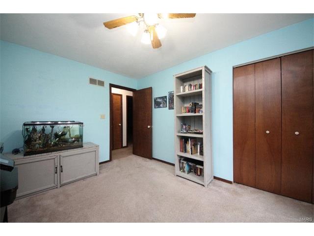 1542 Thunderbird Ln, Belleville, IL 62221 photo 21