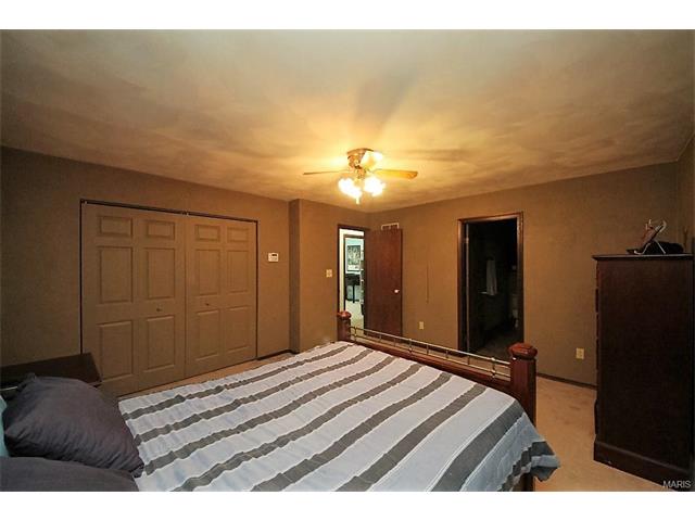 1542 Thunderbird Ln, Belleville, IL 62221 photo 30