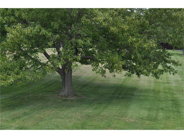 111 Covert Ln, Ellisville, MO 63021 photo 18