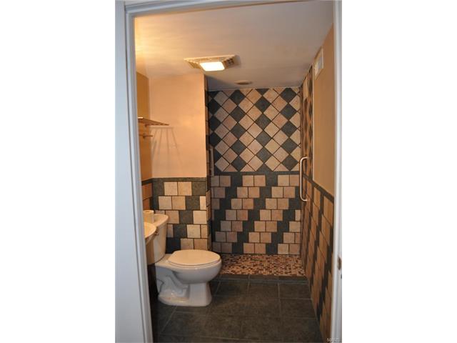 111 Covert Ln, Ellisville, MO 63021 photo 16