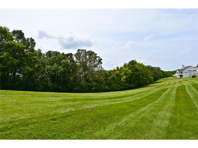 215 Summit Ridge Pl, Weldon Spring, MO 63304 photo 39