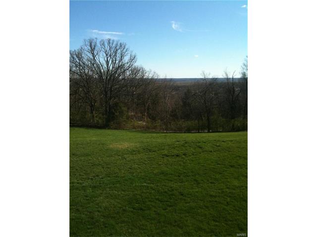 215 Summit Ridge Pl, Weldon Spring, MO 63304 photo 49